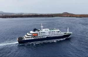 Global Health Agencies Track Cruise Passengers After Deadly Hantavirus Outbreak